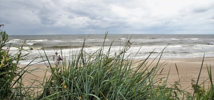 tranche-sur-mer